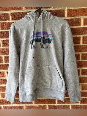 Patagonia Boys Fitz Roy Bison Uprisal Hoody Long Sleeve Hoodie Sz Small